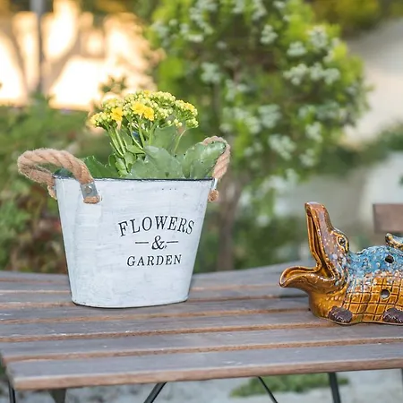 别墅 Eleni's Family