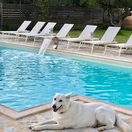 Eleni's Family Villa Laganas